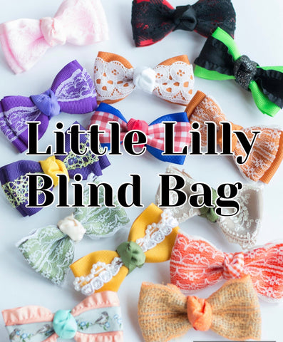 Little Lilly Blind Bag